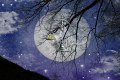 Astrology Sun Signs - Meet Libra - September 24th - October 23rd