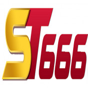 st6666vncom profile image
