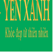 yenxanhtacanest profile image