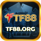 tf88org profile image