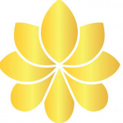 vaisoisynex profile image