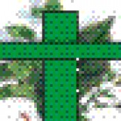Nigerian profile image