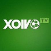 tvxoivo1 profile image
