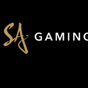 sagamingvin profile image