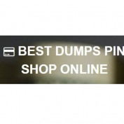 bestdumpsnet profile image