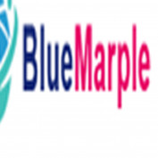 bluemarpleseoconsulting profile image
