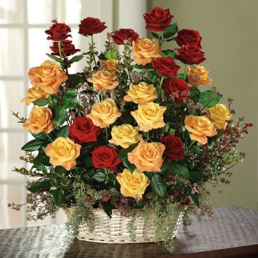 Meaning and Significance of different colors and numbers of Roses