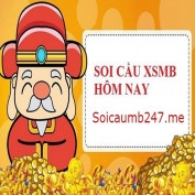 soicaududoanxsmb1 profile image