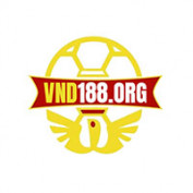 vnd188org1 profile image