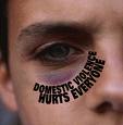 National Domestic Violence Hotline at 1−800−799−SAFE (7233) or TTY 1−800−787−3224