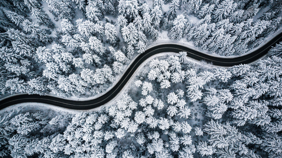 Aerial image of snow covered trees
