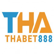 thabetnhacai profile image