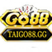 taigo88gg profile image