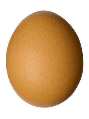 Egg