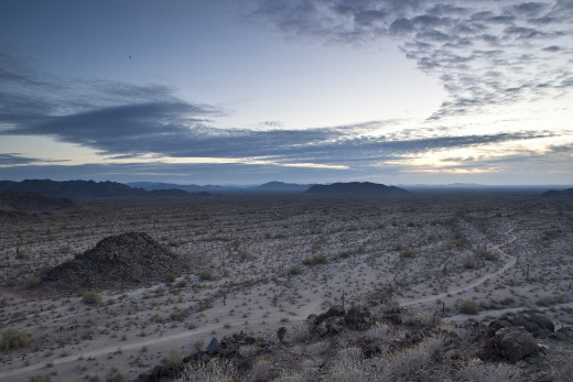 Sonoran Desert National Monument