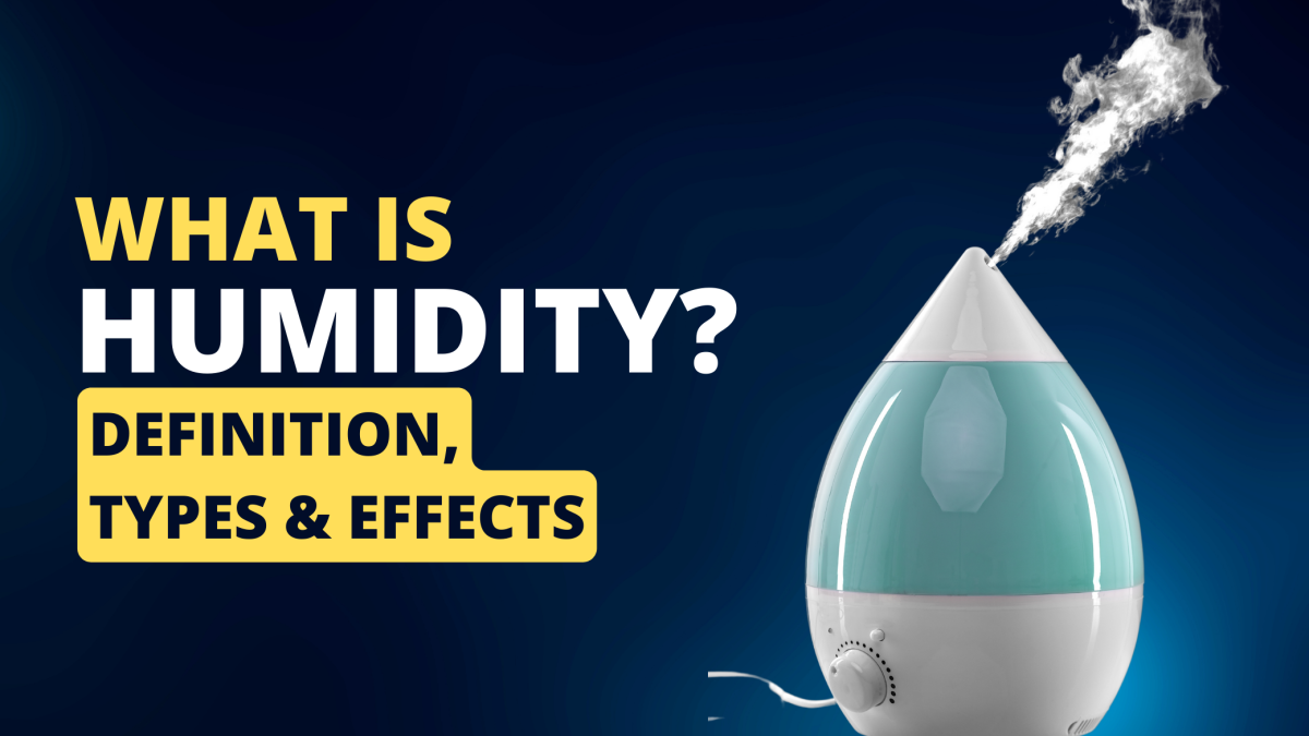 What Is Humidity? Definition and Types of Humidity