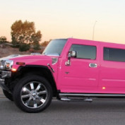 falcon tour travels profile image