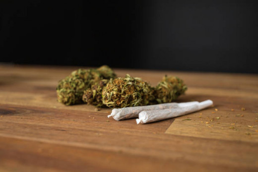 Cannabis