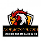 xomga79vn profile image
