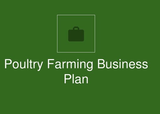 Poultry Farming Business Plan