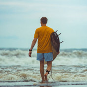 whiteflowercottages profile image