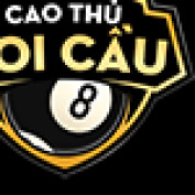 caothusoicaux profile image