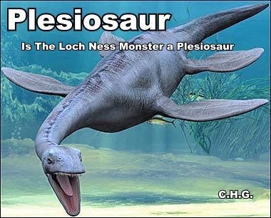 Is Nessie a Plesiosaur. Notice in the above photo an apparent shape like a Plesiosaur. 
