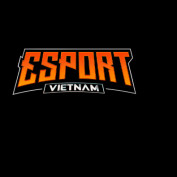 esportsvietnam profile image
