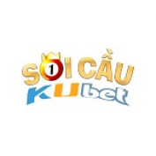 soicaukubetme profile image