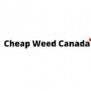 cheapweedcanadaio profile image