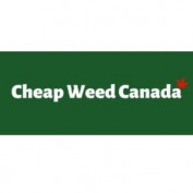 cheapweedonlineco profile image