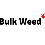 bulkweedio profile image