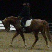 danceswthorses profile image