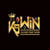k9win0com profile image