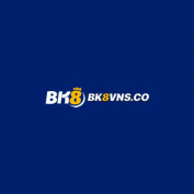 bk8vns profile image