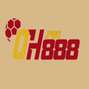 qh888pro profile image
