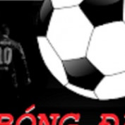 tiengruoinet profile image