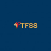 tf88uytin profile image