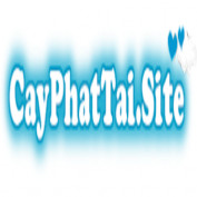 cayphattaivay profile image