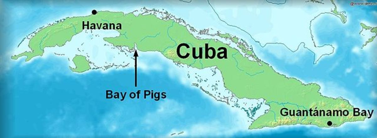 A Death in Vain: Thomas Ray and the Bay of Pigs
