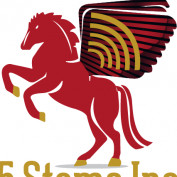 Larry 5 stems inc profile image