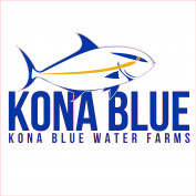 konablue profile image