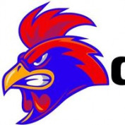 dagatructiepvn profile image