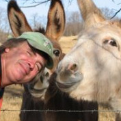 Gregory DaValt profile image