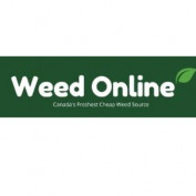 weedonlineapp profile image