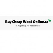 buycheapweedonlineca profile image