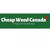 onlinedispensarycanadacc profile image