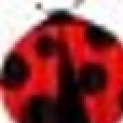 RetireBug profile image