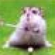 nasph profile image