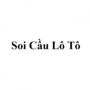 soicauloto profile image